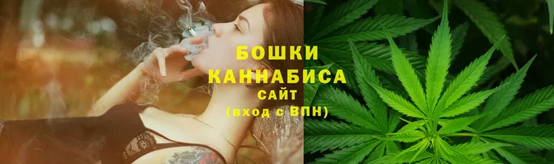 Бошки марихуана Amnesia  как найти   Арсеньев 